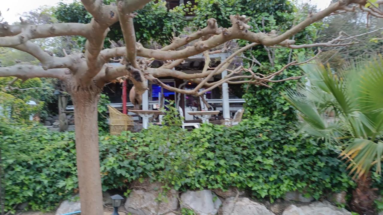 Mare Maravella Costa Brava Nature ตอร์เดรา ภายนอก รูปภาพ